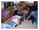 slides/SDC12133.JPG  SDC12133